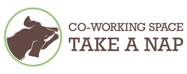 TAKE A NAP Logo